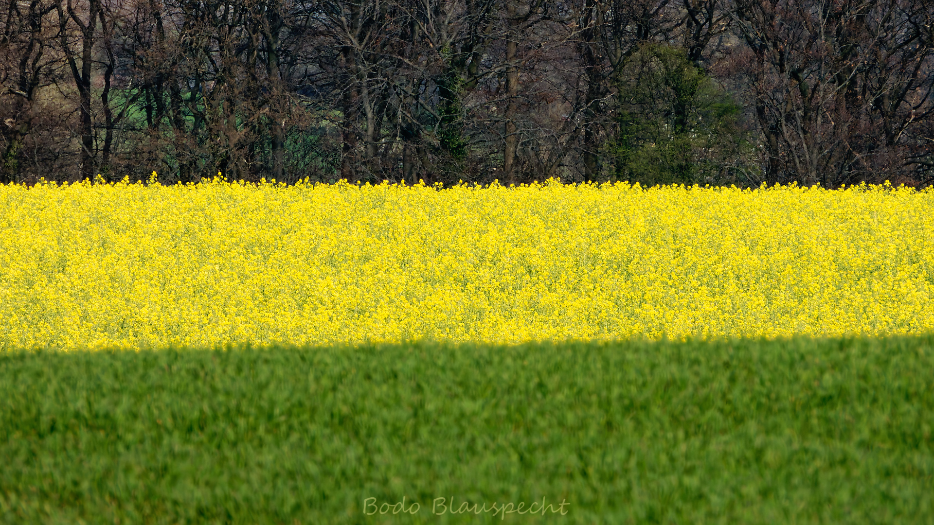 Steveraue   Olfen    2020.04.07 16.01 19 HD